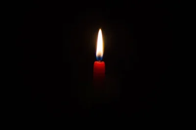 Korku mu, utanç mı?